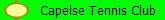 Capelse Tennis Club